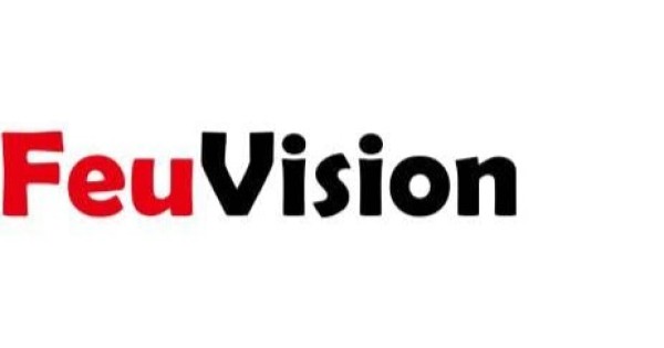 Màn hình máy tính FEUVISION