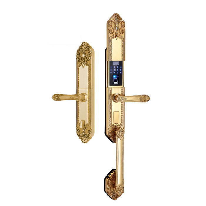 Khóa cửa vân tay đại sảnh Kassler KL-979G