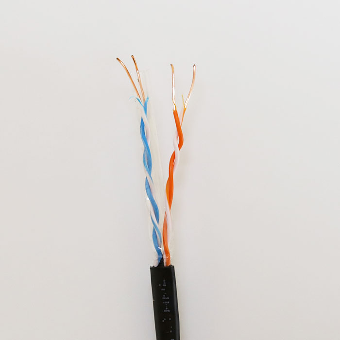 2P Cat5 PE