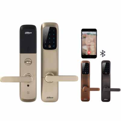 Khóa cửa thông minh Dahua ASL8101K-B (màu xám)