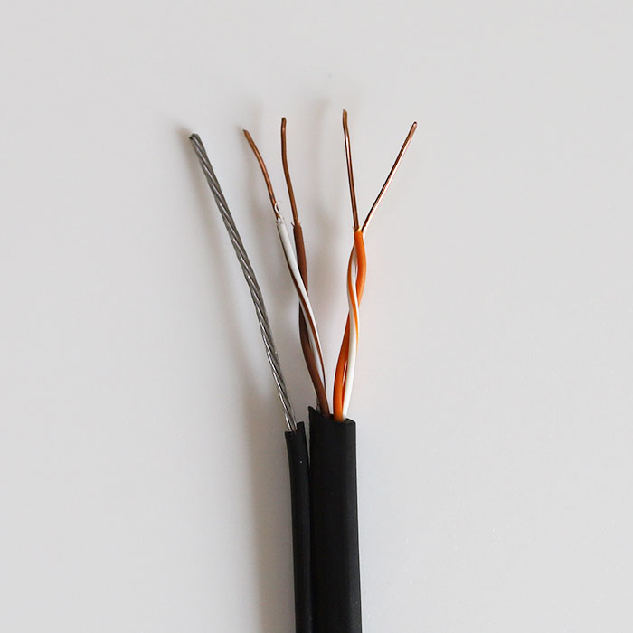 2P Cat5 PVC